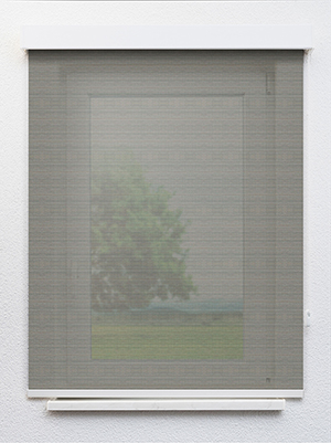 Preview Algedi 702852L 1