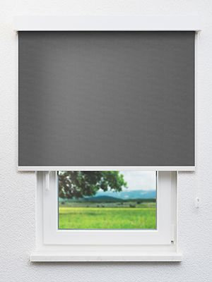 Acamar 902871L Fensteransicht