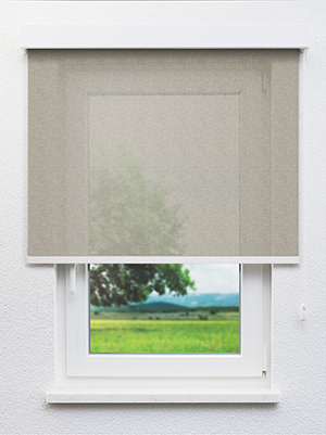 Algieba 702975L Fensteransicht