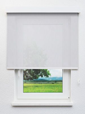 Dülmen 10.814e Fensteransicht