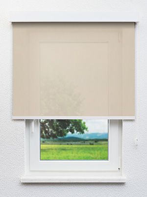 Dülmen 91.814e Fensteransicht