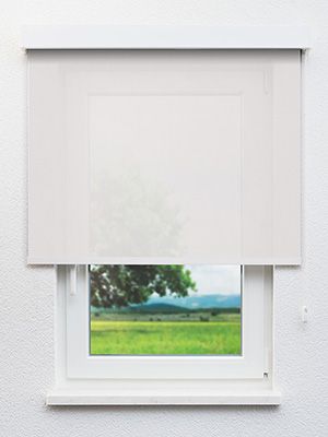 Dülmen 12.814e Fensteransicht