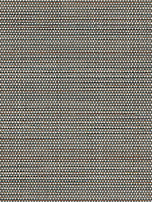 Algedi 702852L