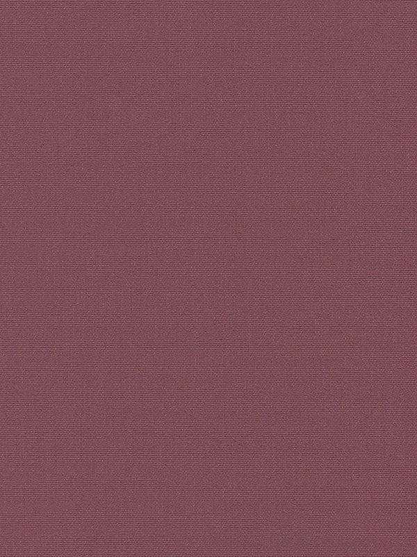 Detailansicht Rollo Sceptrum 5504.6409