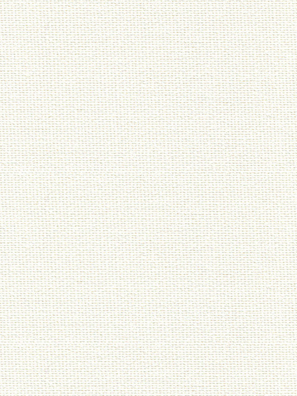 Detailansicht Brachium 202561L