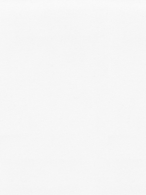 Detailansicht Verdunkelungsrollo Miram 5501.4627