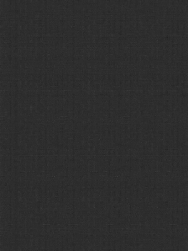 Detailansicht Rollo Felis 5509.5209