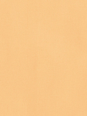 Dülmen 52.814e Detailansicht