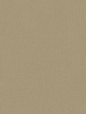 Preview Düren 81.024e 1