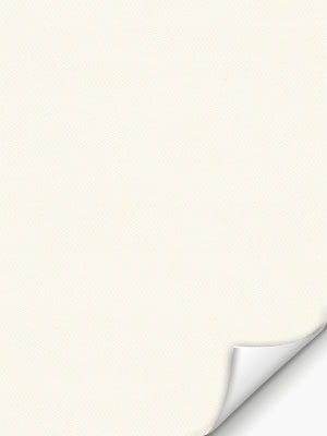 Verdunkelungsrollo Miram 5501.4629w Detailansicht