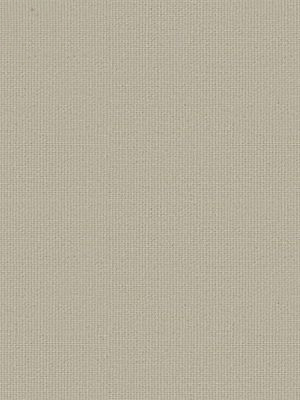 Rollo Felis 5509.5203 Detailansicht