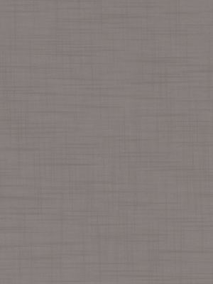 Rollo Polaris 5509.6804 Detailansicht